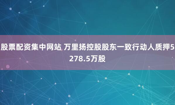 股票配资集中网站 万里扬控股股东一致行动人质押5278.5万股