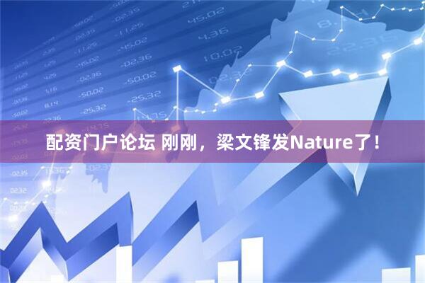 配资门户论坛 刚刚，梁文锋发Nature了！